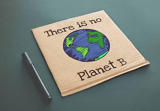 DIY protest sign idea with the earth drawing