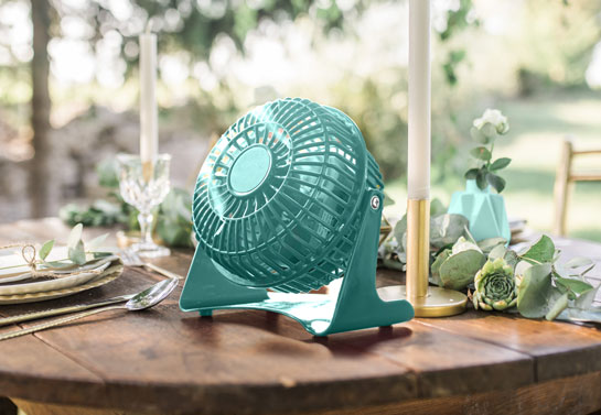 Mint fan for outdoor party