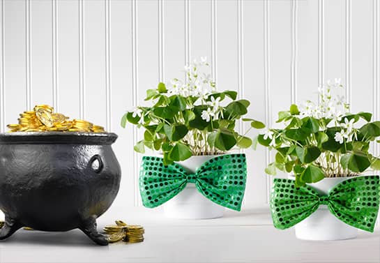St. Patrick's Day table decoration idea with plants