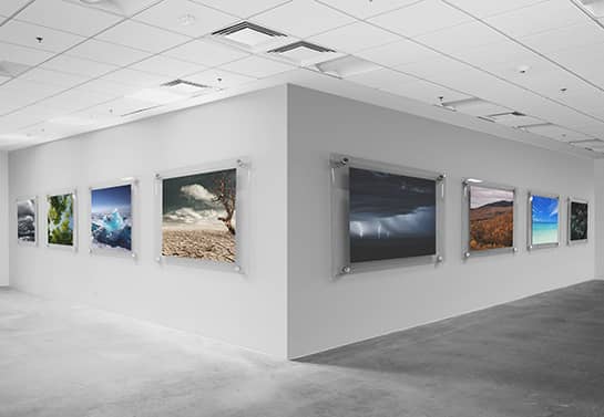 Gallery exhibition items displaying photos of climate change hanged on walls in a row
