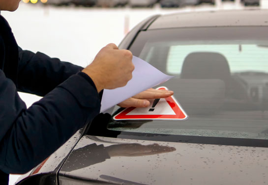 applying car decal on back window