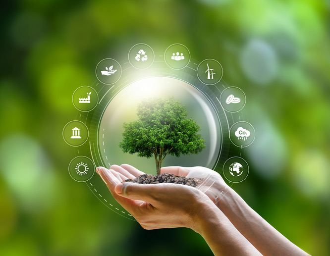 Hands holding soil and a small tree with circular icons representing sustainability benefits.