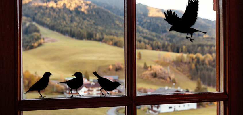 cute black birds decals for home window decorating