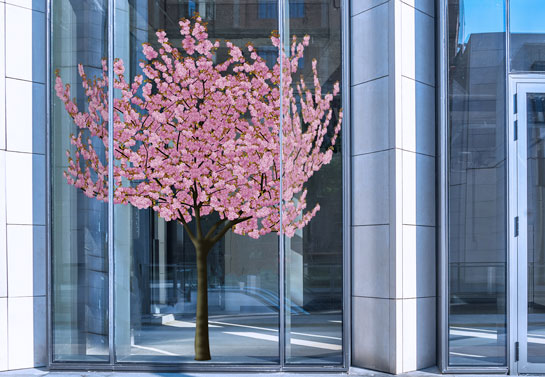 spring themed blossom office window decor idea