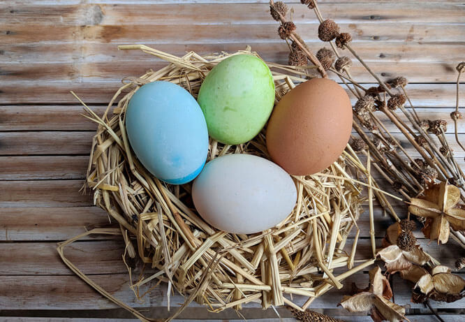 Easter dining table decorating with naturally-dyed eggs placed in a basket
