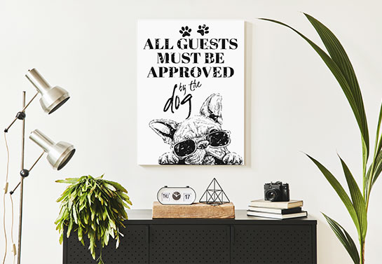 funny decorating idea for study guest room for dog lovers