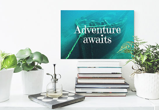"Adventure Awaits" inspirational canvas design idea on a library wall