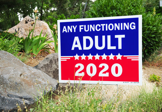 Any Functioning Adult funny political sign example