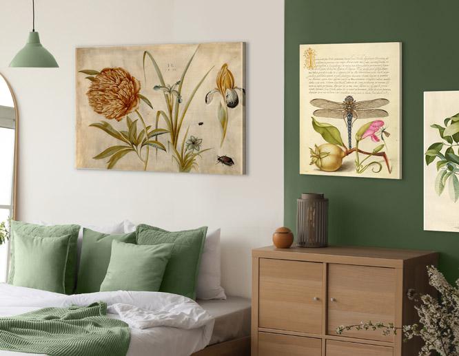 Free printable artwork for the bedroom displaying flowers and insects