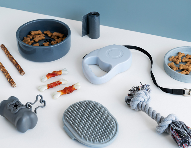 Pet accessories including dog treats, bowls, a retractable leash, grooming brush, and rope toy on a clean surface.