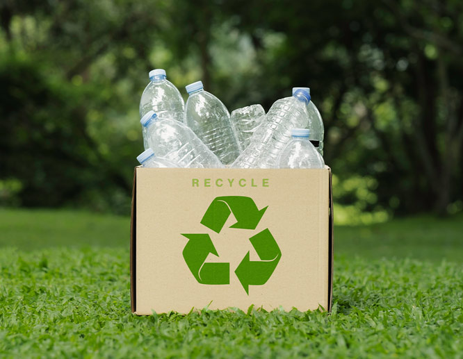 Box filled with plastic bottles featuring a green recycle symbol on grassy ground.