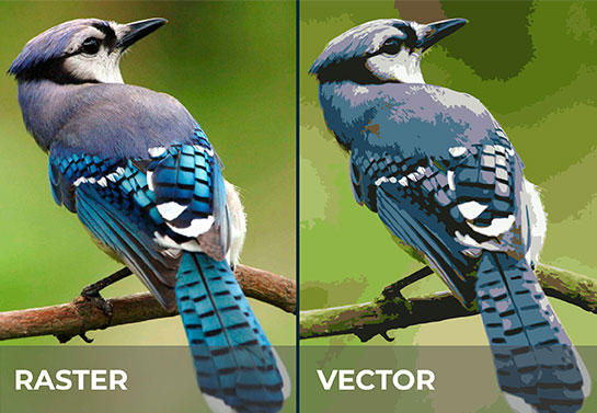 raster vs vector photos as best format for printing photos