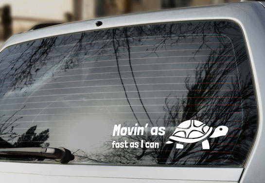 humorous turtle rear window decal idea