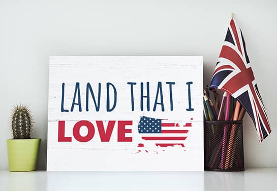 patriotic home decor in white displaying the words Land That I Love