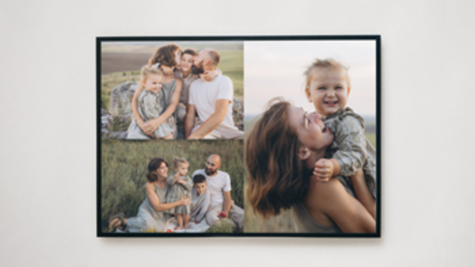Framed Canvas Prints Main