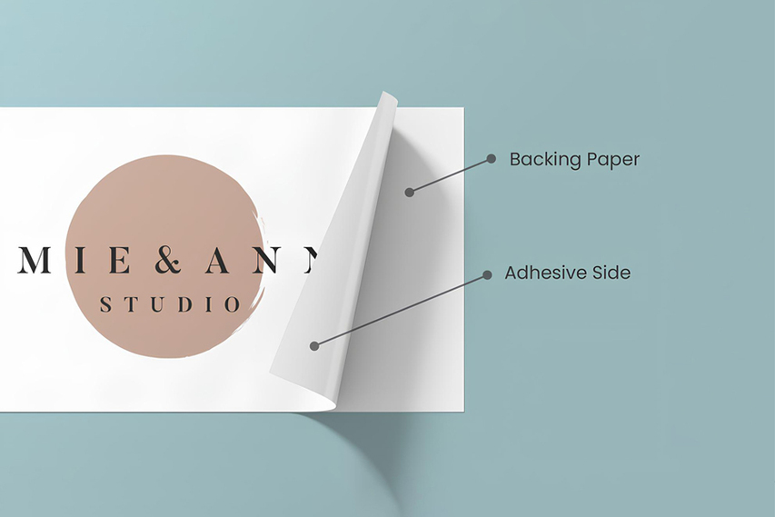 Store Window Decal Components