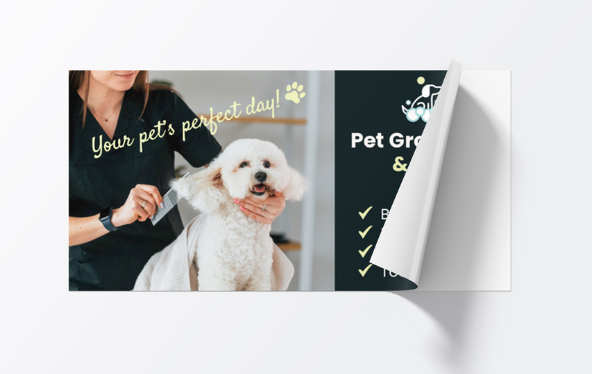 Window Decals  1
