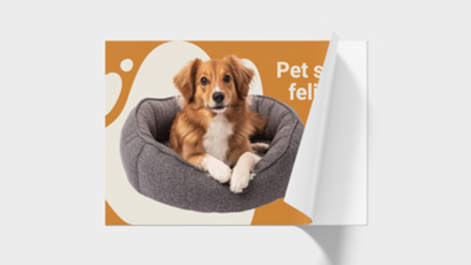 Wall Decal of a Dog in a Cushion