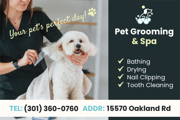 Fashion pet grooming spa