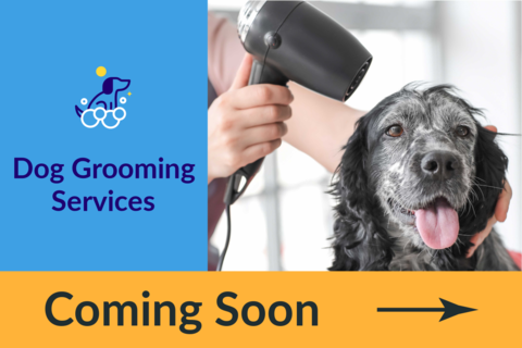 Coming Soon Dog Grooming Sign Template
