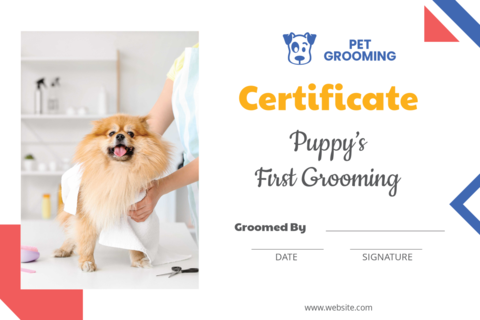 Puppy's First Grooming Certificate Sign Template
