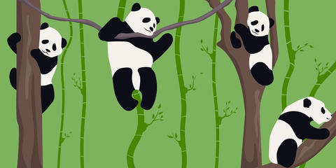Playful Pandas Climbing Trees in a Forest Nature Template