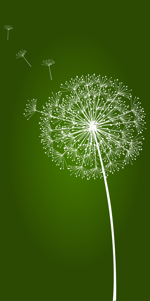 Dandelion Illustration on a Green Background Nature Template