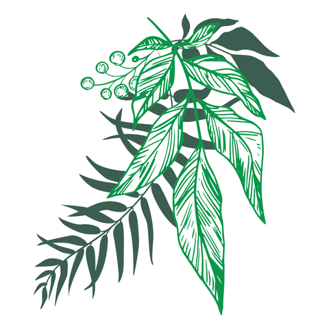 Tropical Jungle Leaf Set Nature Sign Template