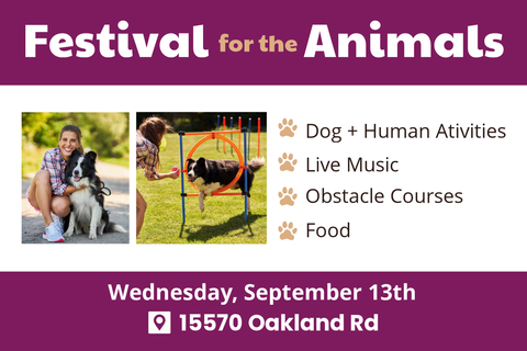 Dog Training With Owner Animal Festival Events Template