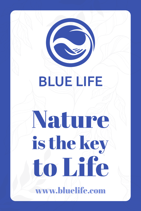 Blue Life Playing Cards Template
