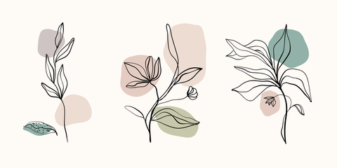 Botanical Line Art With Splashes of Color Nature Template