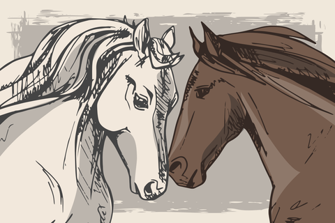 White and Brown Horses Sketch Drawing Animal Template