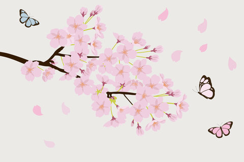 Blooming Cherry Blossoms and Butterflies Nature Template