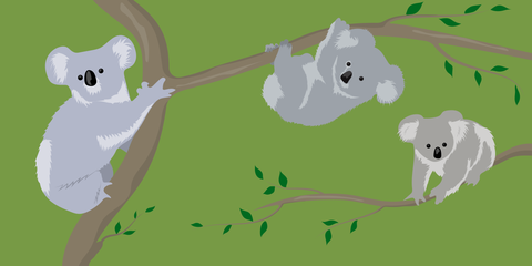 Three Koalas Playing on Tree Branches Nature Template