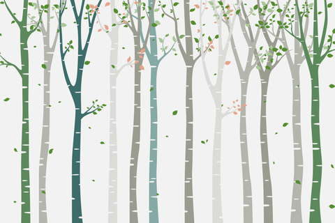 Birch Tree Forest With Creative Colors Nature Template