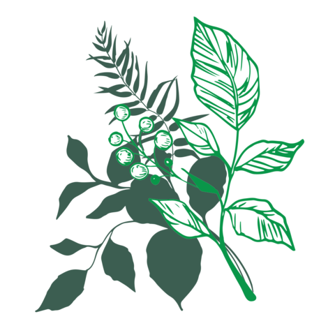 Spring Leaves and Ferns Natural Element Sign Template