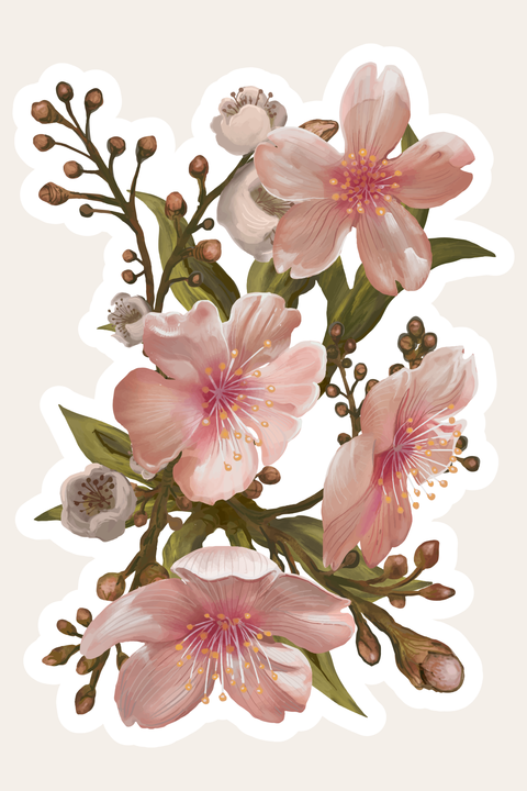 Magnolia Flowers and Leaves Natural Sign Template