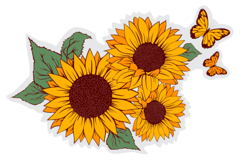 Sunflowers and Butterflies Illustrated Template