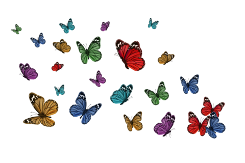 Colorful Butterflies Flying Sign Template
