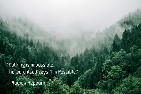 Foggy Forest and a Motivational Quote Sign Template