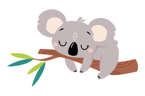 Koala Sleeping on a Branch Sign Template