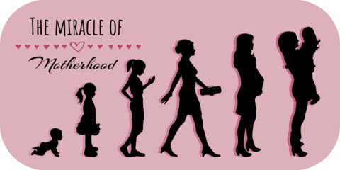 Pink Background Life Stages of Womanhood Sign Template