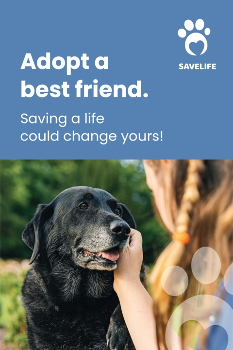 Woman With Black Dog Photograph Pet Adoption Template