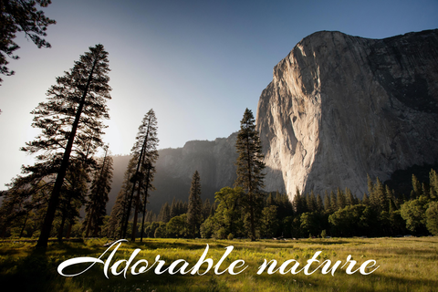 Breathtaking Landscapes With Trees and a Cliff Sign Template
