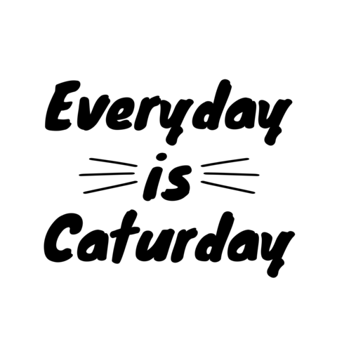 Creative Cat-Themed Quote With Whiskers Icon Sign Template