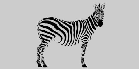 Minimalistic Zebra Drawing Sign Template